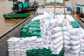 Myanmar to export 50,000 tonnes of sugar to Viet Nam in upcoming season