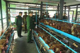 SAC Vice-Chairman Deputy Commander-in-Chief  of Defence Services Commander-in-Chief (Army)  Vice-Senior General Soe Win inspects training depot, local regiments and units, Tatmadaw factories in Hmawby Station