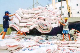 Myanmar seaborne rice exports to Bangladesh exceed 174,000 tonnes under G-to-G pact