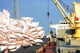 Myanmar exports 215,340 tonnes of rice worth of over $83 mln in December in shipping