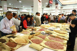 Mandalay market sees bustling trade activity of oil seeds in pre-Chinese New Year festival