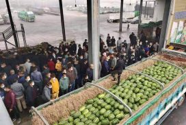 Myanmar’s watermelon supply to China exceeds demand