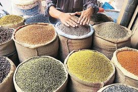 Prices of black grams, pigeon peas on upward trajectory amid robust foreign demand