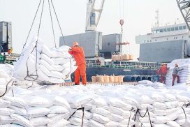Myanmar imports 60,000 tonnes of fertilizer worth $31.075 mln in Jan