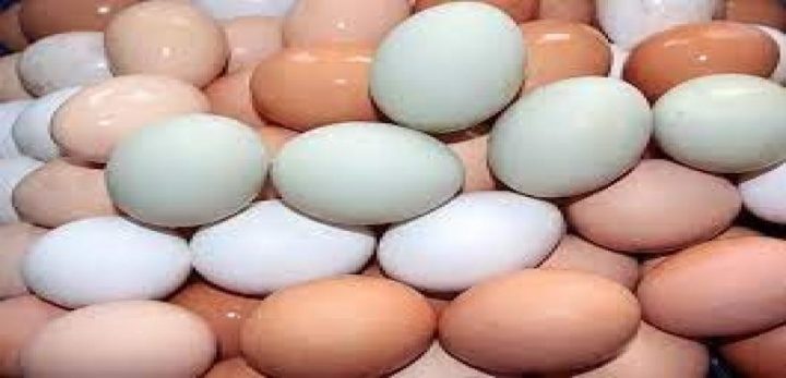 Bago Egg1