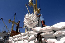 Myanmar targets 300,000 tonnes of rice export in Feb-Mar
