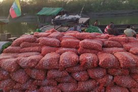 Plans underway to export 100,000 tonnes of onion in FY 2023-2024