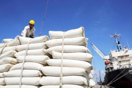 Myanmar exports 1.9 mln tonnes of rice in ten months