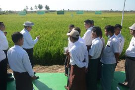 MoALI Deputy Minister inspects agricultural system in Taninthayi Region