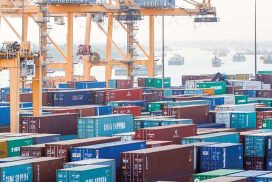 Seeking import licences before port arrival of goods mandatory