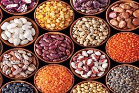 Myanmar bags over $1.2 bln from pulses exports over past 11 months