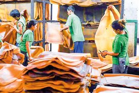 Myanmar ships 75% of rubber production to China