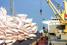 Myanmar ships over 87,000 tonnes of rice in April 2023-2024 FY
