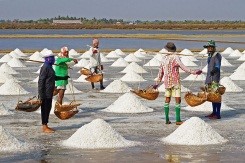 Salt prices decline in Mon State