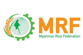 MRF_Logo