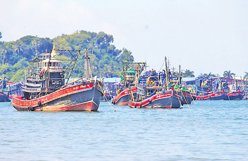Taninthayi Region halts new offshore fishing licences to preserve aquatic resources