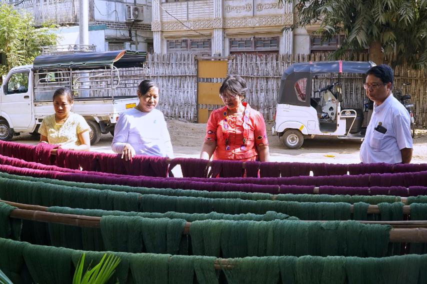 Sein Ngar Pwint yarn dyeing chemicals, natural yarn dye, yarn and cotton business, MSME in Pakokku Township