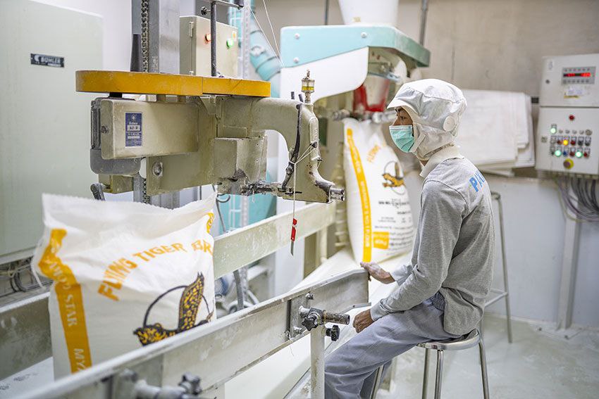 Wheat flour is automatically packaged at a wheat mill.