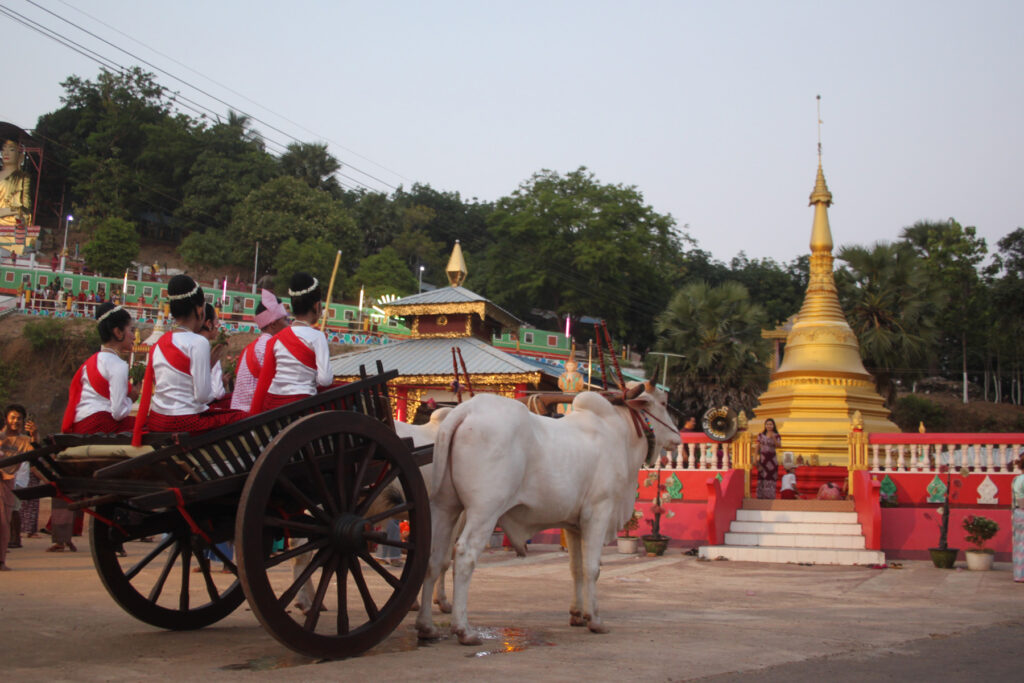 49th Kamamo Village Pagoda Festival draws crowds with bullock cart competition