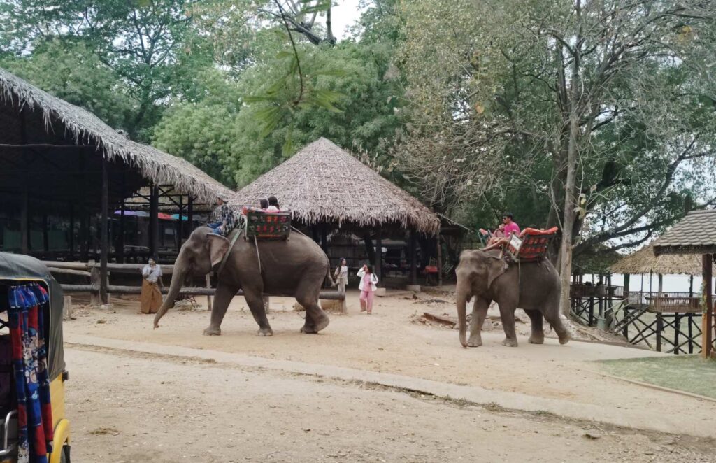 Palin River View Elephant Camp attracts thousands during Thingyan festival