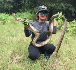 Snake Princess Ma Shwe Lei seen together with a snake she caught.