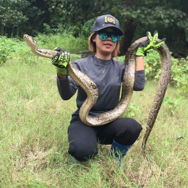 Snake Princess Ma Shwe Lei seen together with a snake she caught.