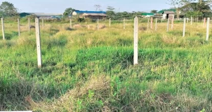 Fenced land in Shwe Pytha (20) will be sold
