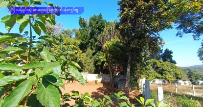 တန်ဖိုးတက်မယ့် ရပ်ကွက်ကြီးထဲက ခြံကွက်အရောင်း